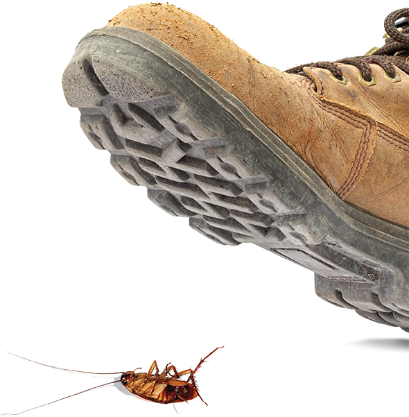 Boot Approaching Cockroach PNG image