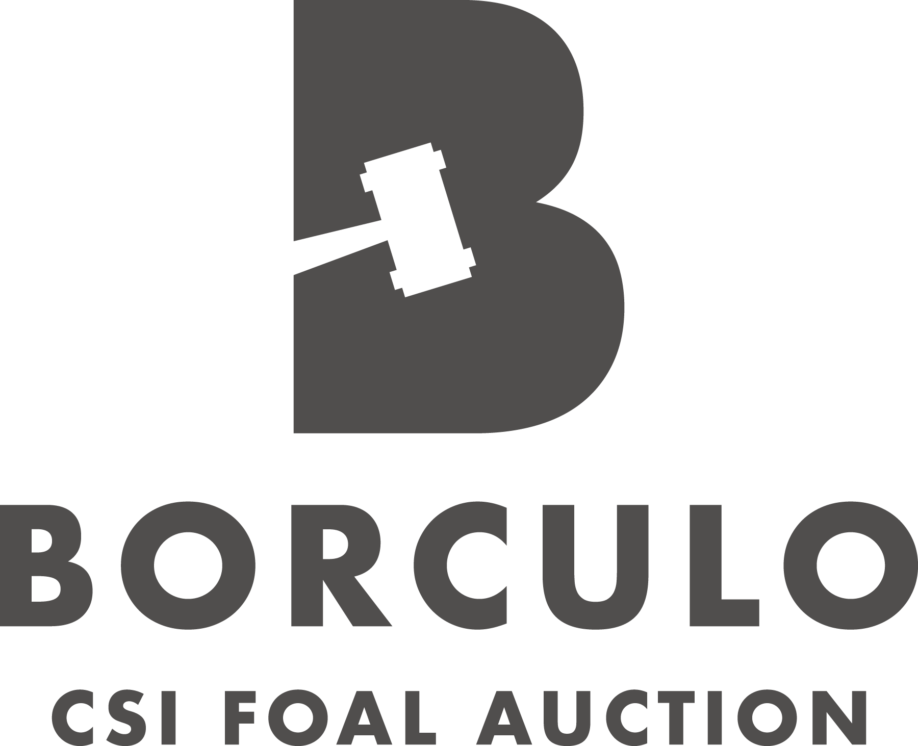 Borculo C S I Foal Auction Logo PNG image