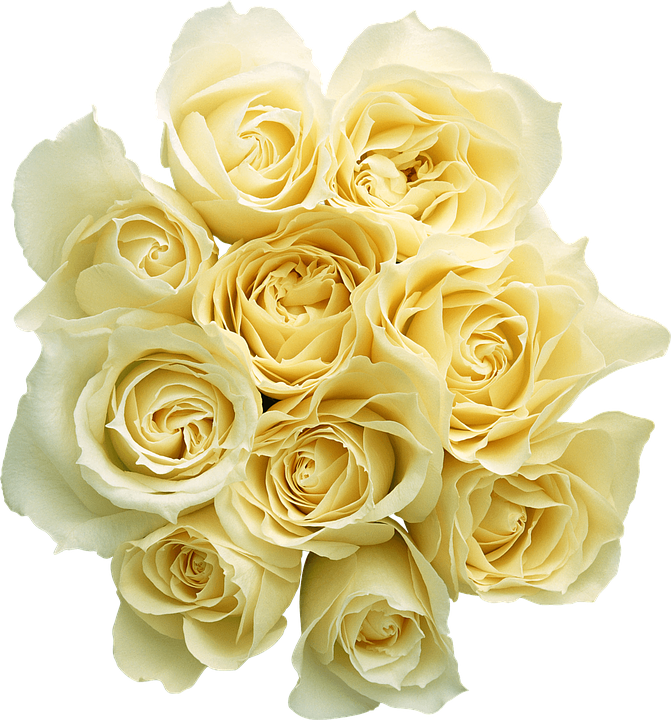 Bouquet_of_ Yellow_ Roses.png PNG image