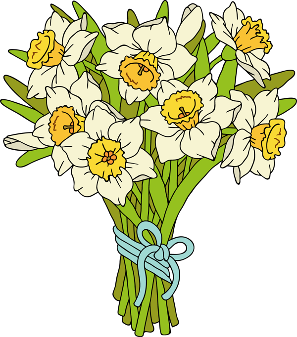 Bouquetof Daffodils Illustration PNG image