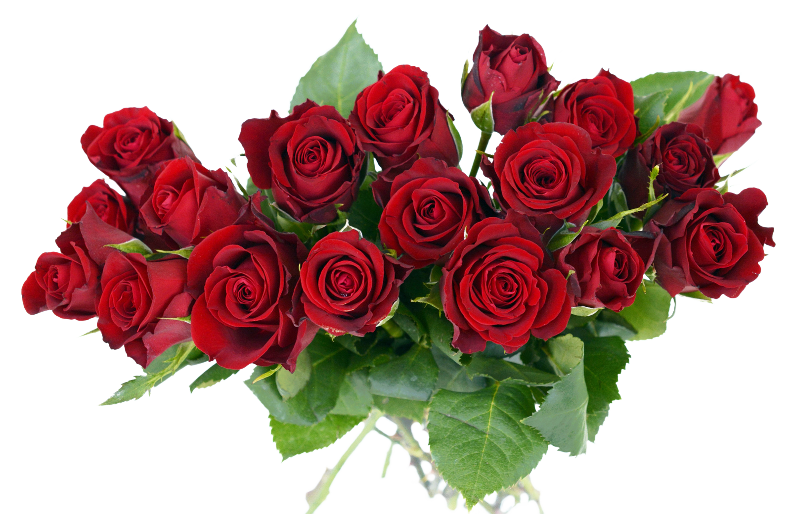 Bouquetof Red Roses PNG image