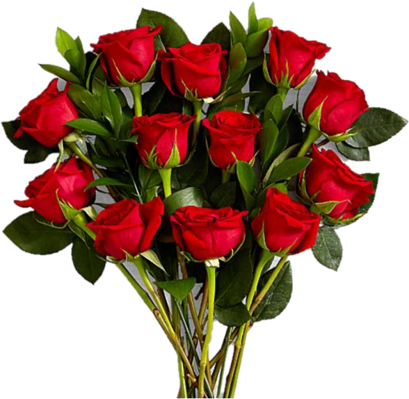 Bouquetof Red Roses PNG image