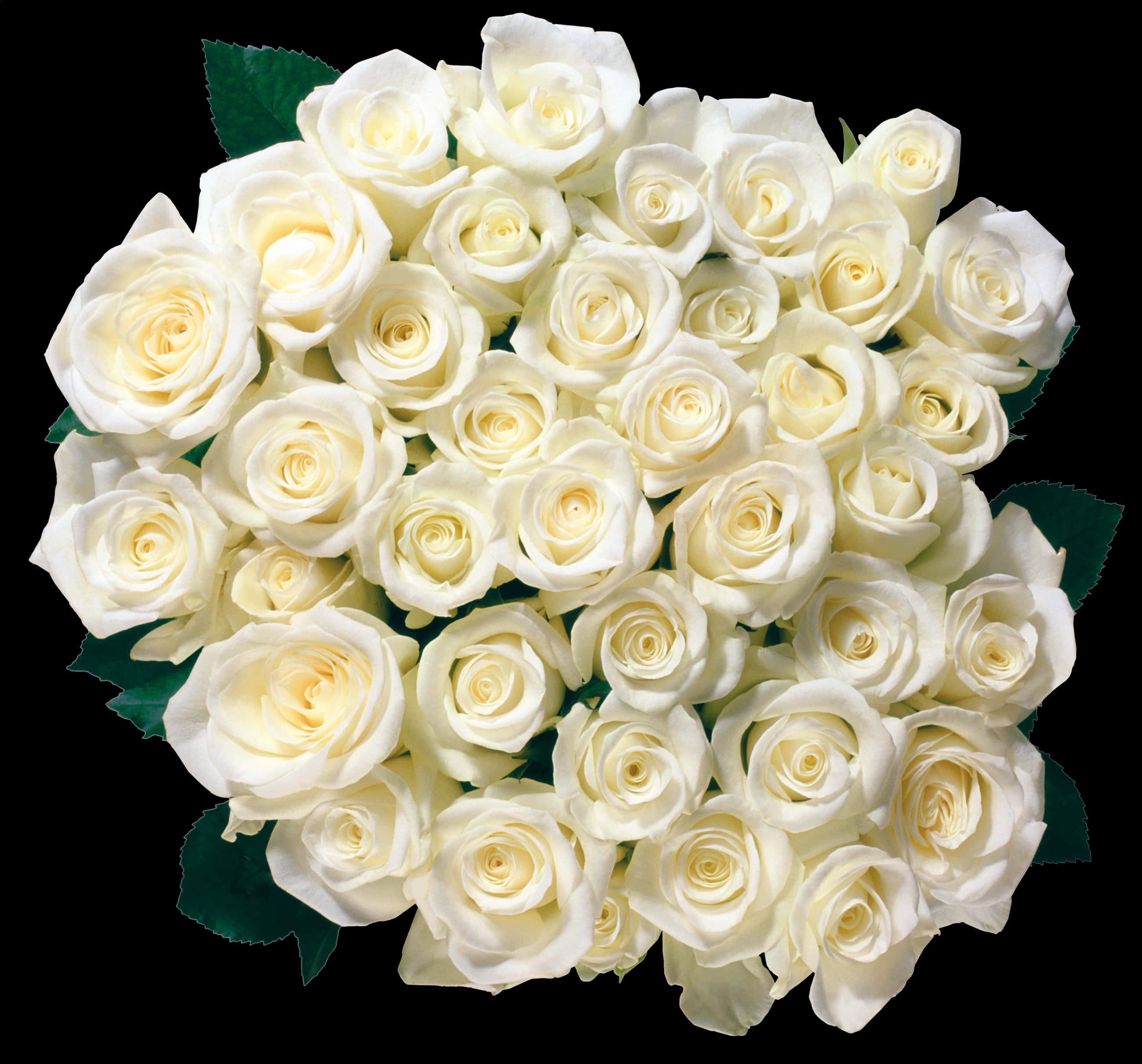 Bouquetof White Roses PNG image