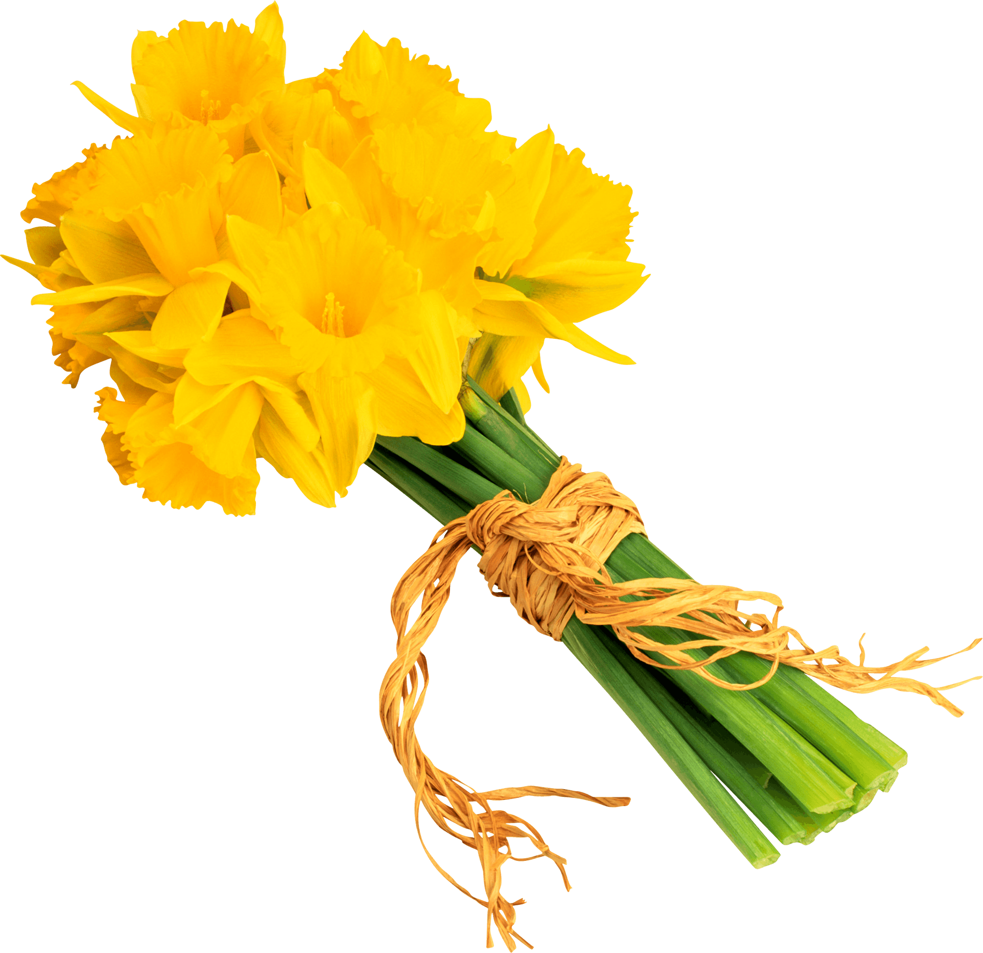 Bouquetof Yellow Daffodils PNG image