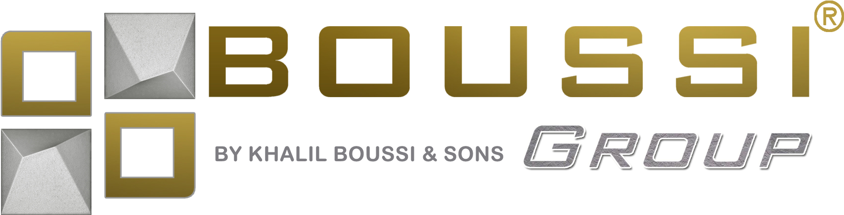 Boussi Group Logo PNG image