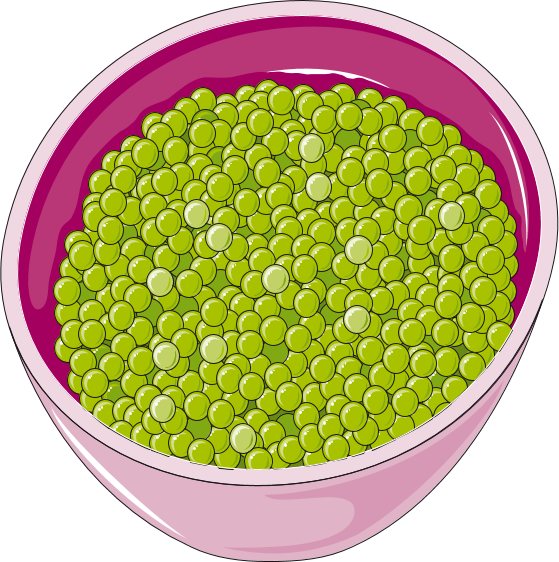Bowlof Green Peas Illustration PNG image