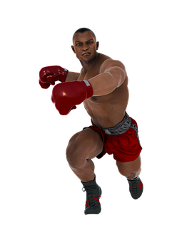 Boxer_in_ Stance_ Ready_to_ Fight PNG image