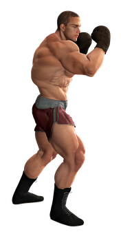 Boxer Ready Stance PNG image