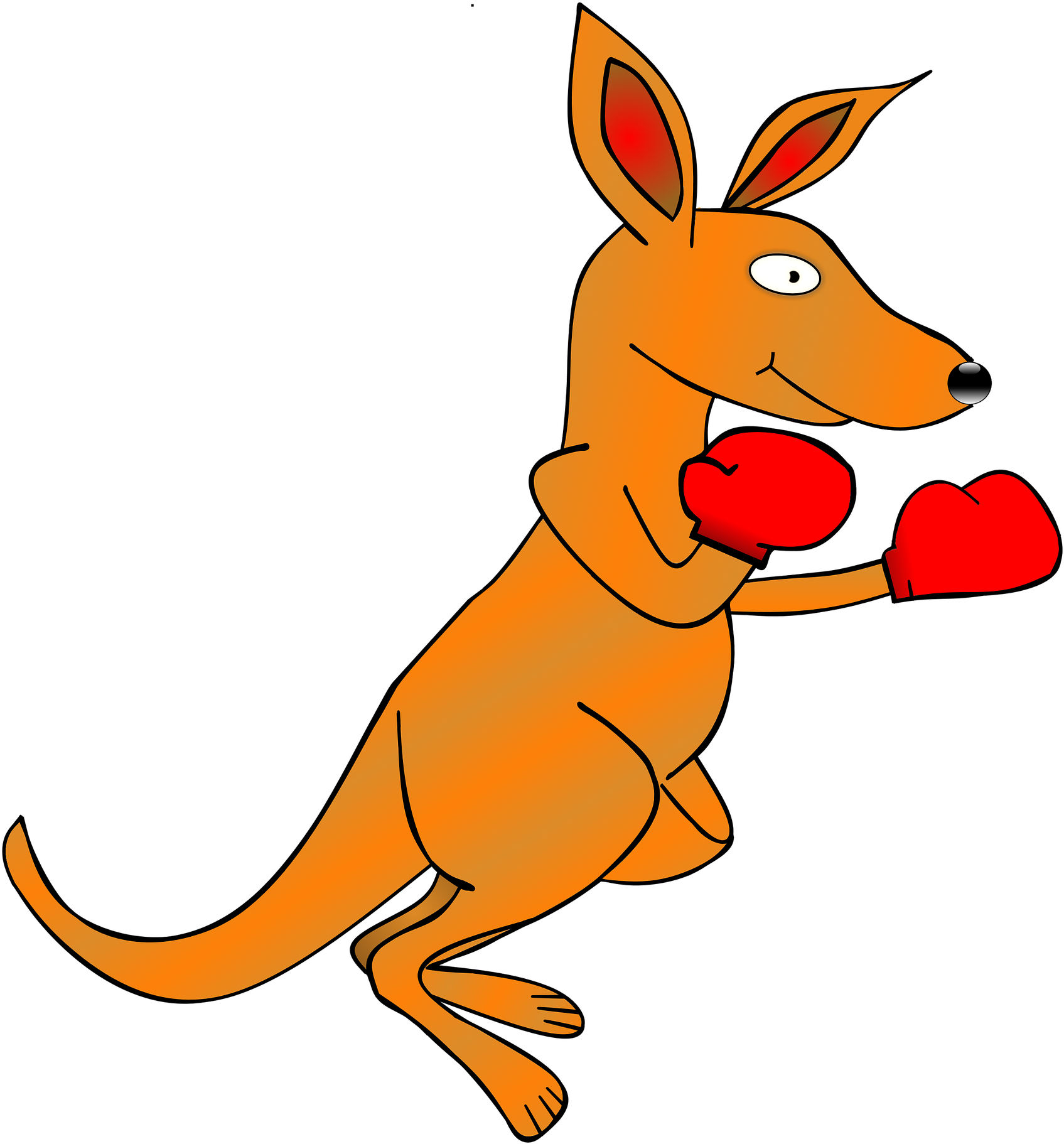 Boxing Kangaroo Cartoon PNG image