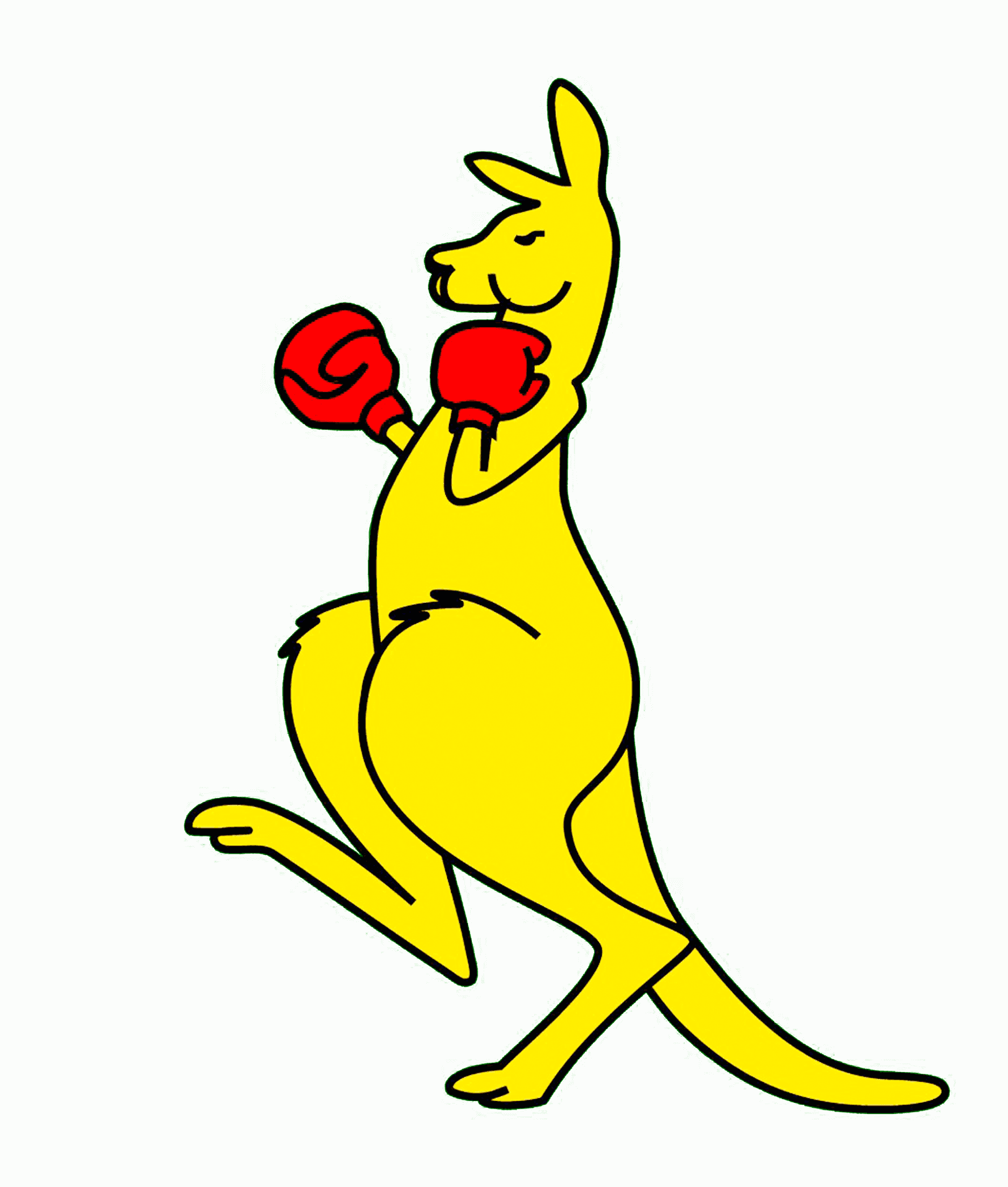Boxing Kangaroo Cartoon Illustration PNG image