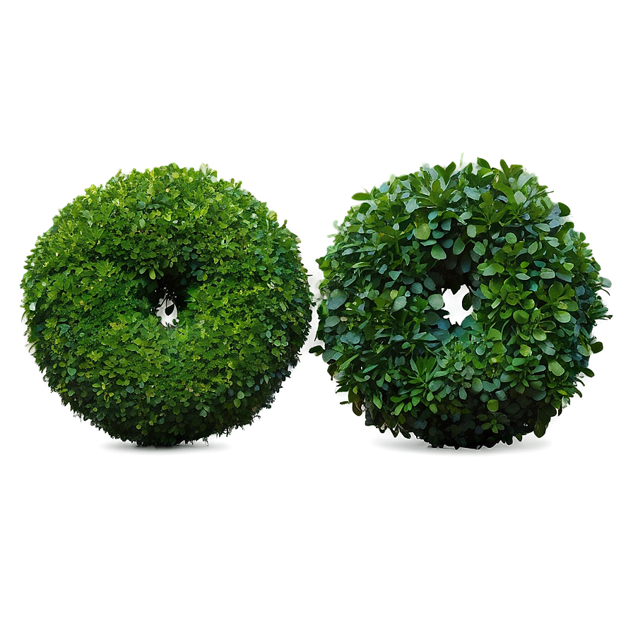 Boxwood Circle Png 32 PNG image