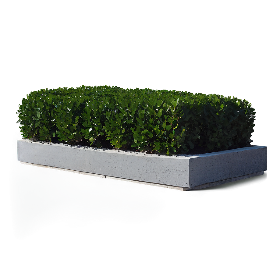 Boxwood Corner Png 06212024 PNG image