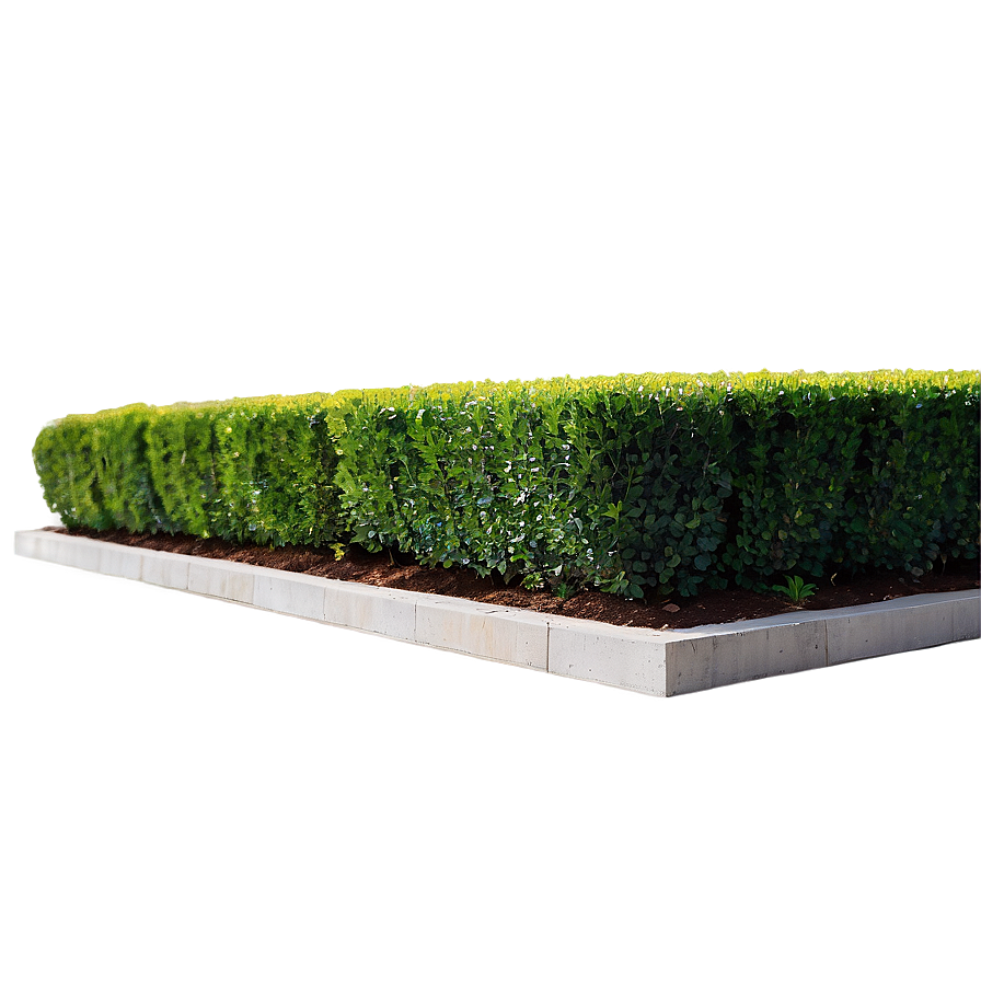 Boxwood Edging Png Pfx54 PNG image