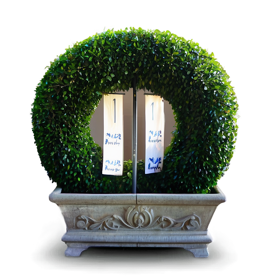 Boxwood For Event Decor Png 63 PNG image