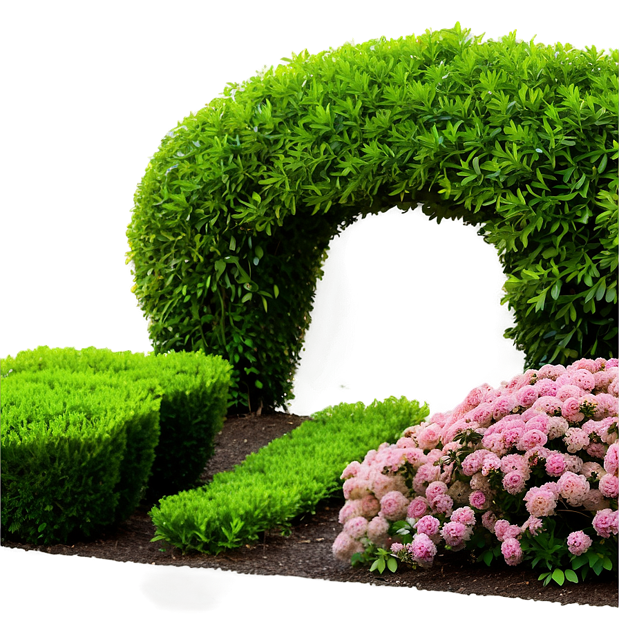 Boxwood Garden Png Aea PNG image