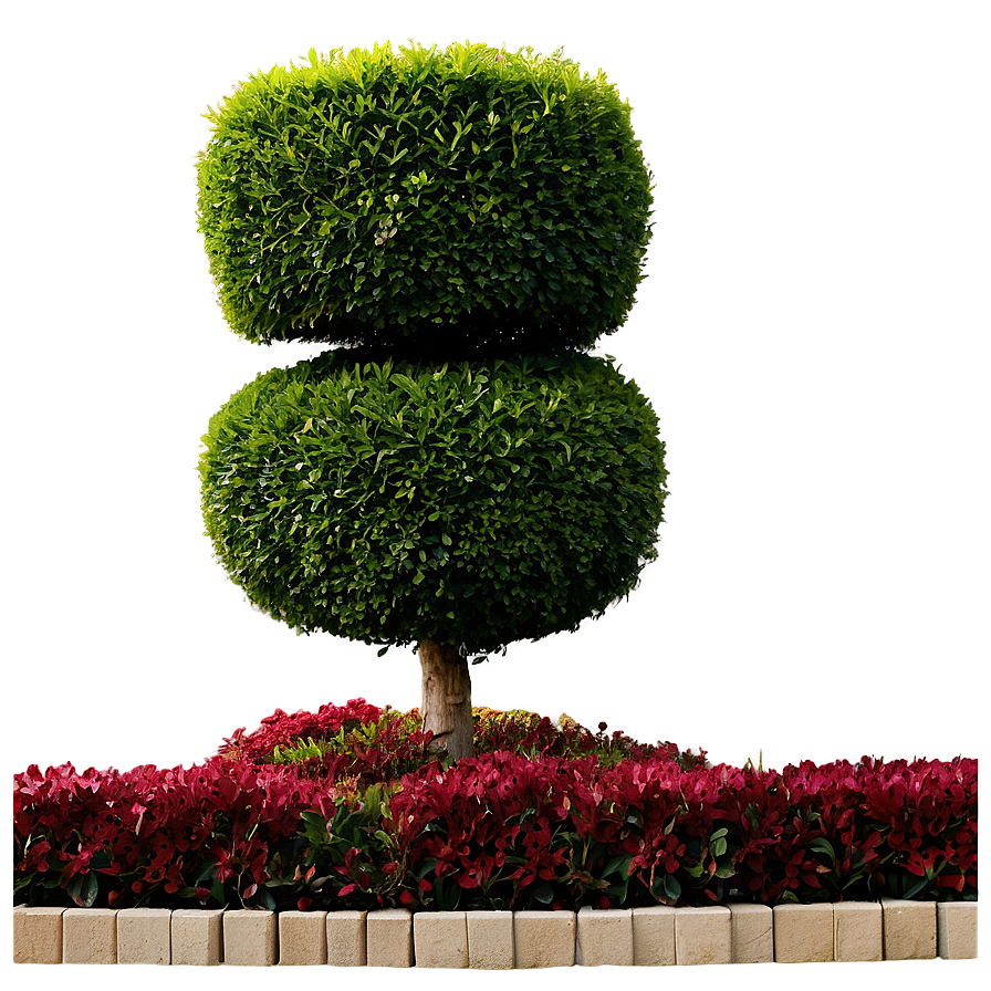 Boxwood Hedge Border Png 06212024 PNG image