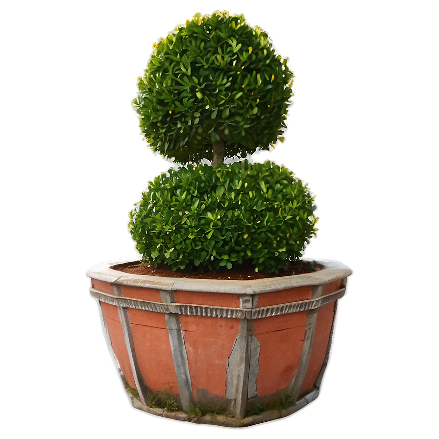 Boxwood In Courtyard Png Sfg PNG image