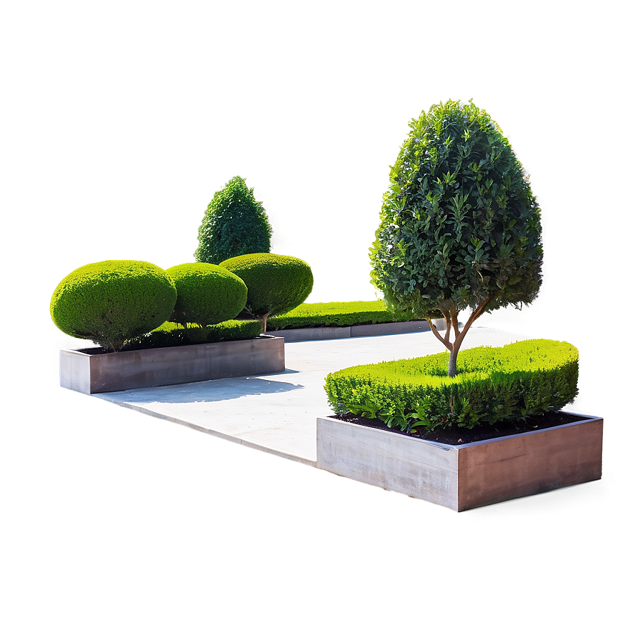 Boxwood In Landscape Design Png 72 PNG image