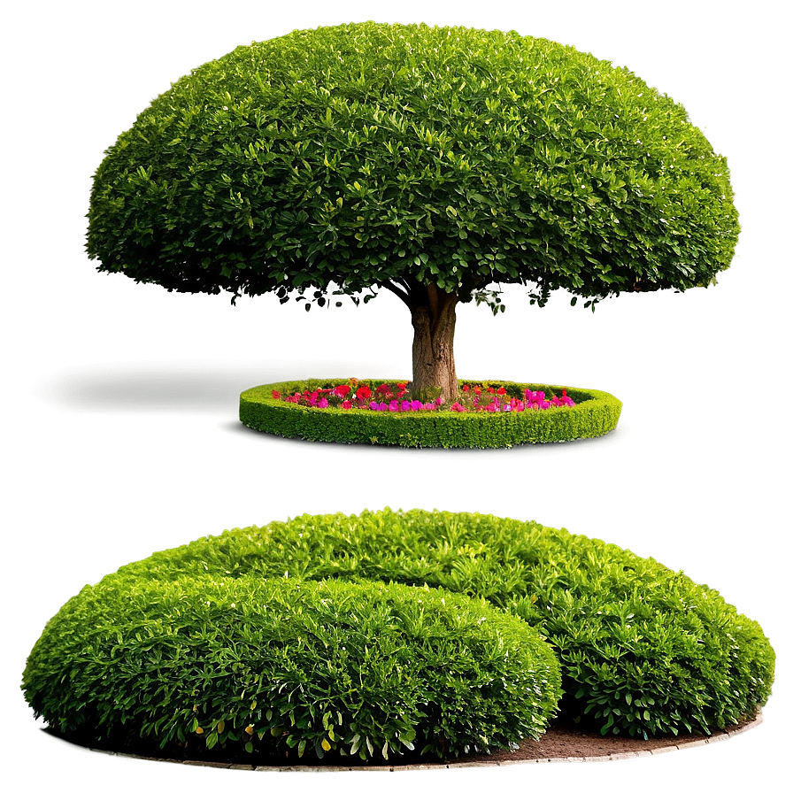 Boxwood Landscape Png 41 PNG image