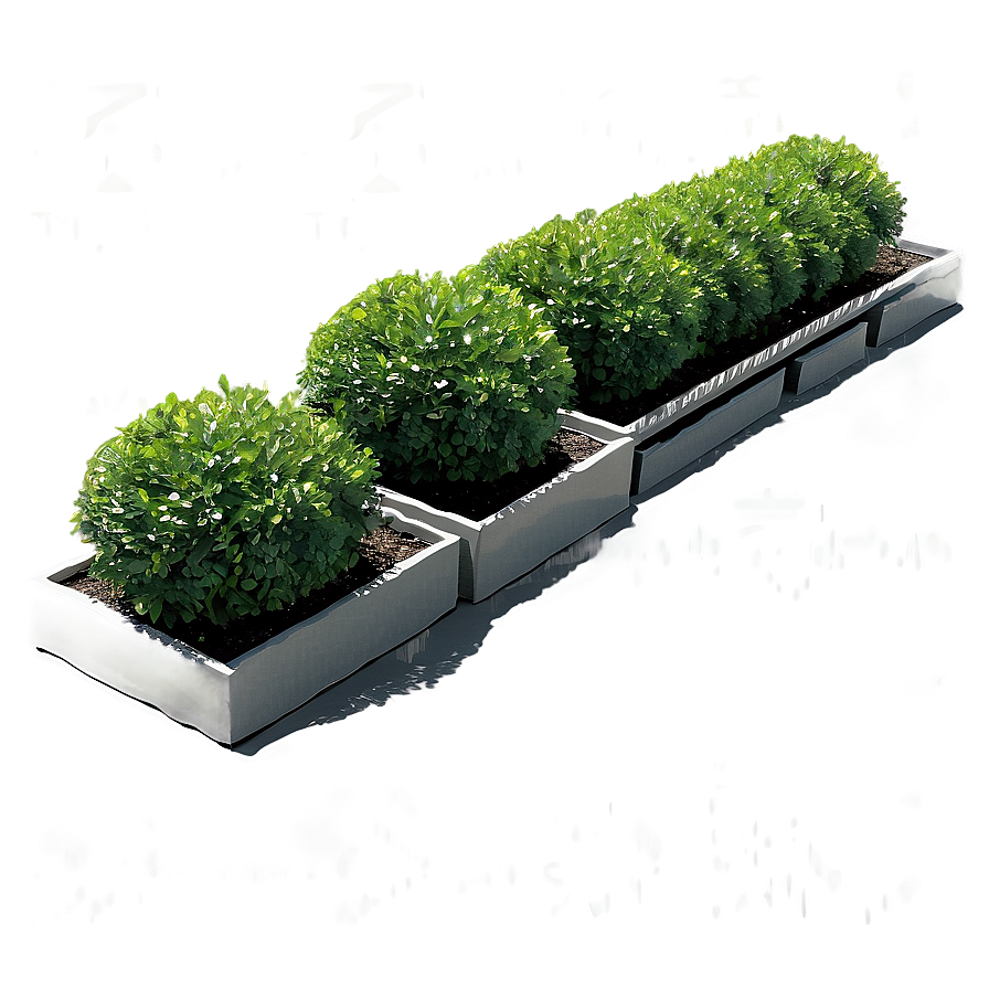 Boxwood Landscape Png Nsn PNG image