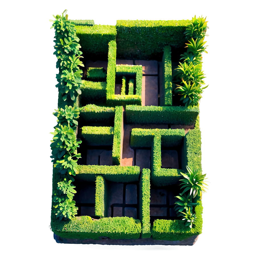 Boxwood Maze Png 44 PNG image