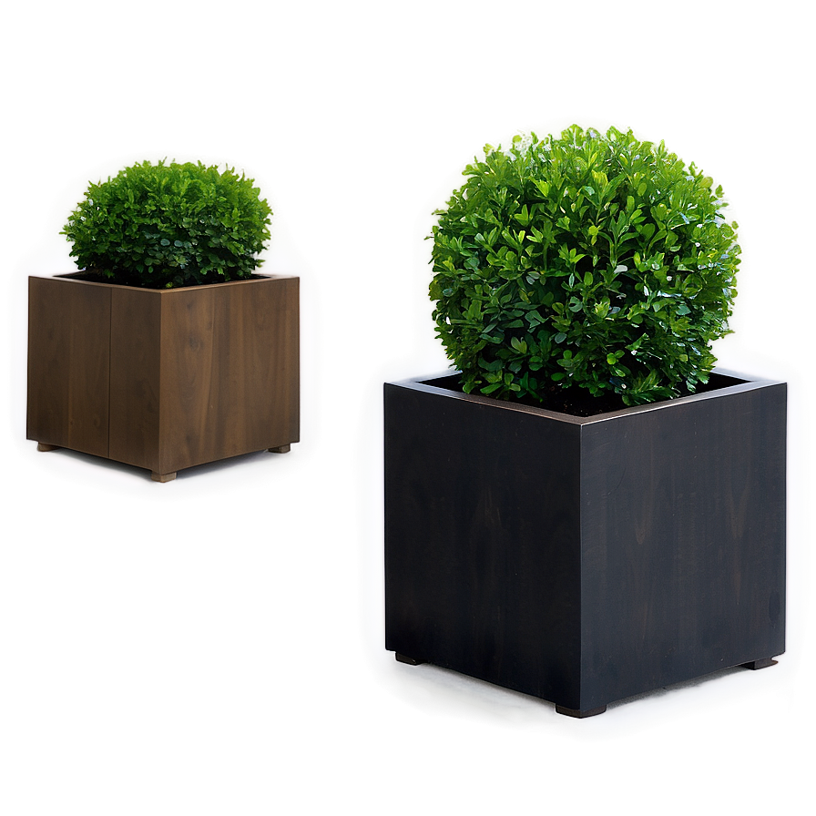 Boxwood Planter Png 06212024 PNG image