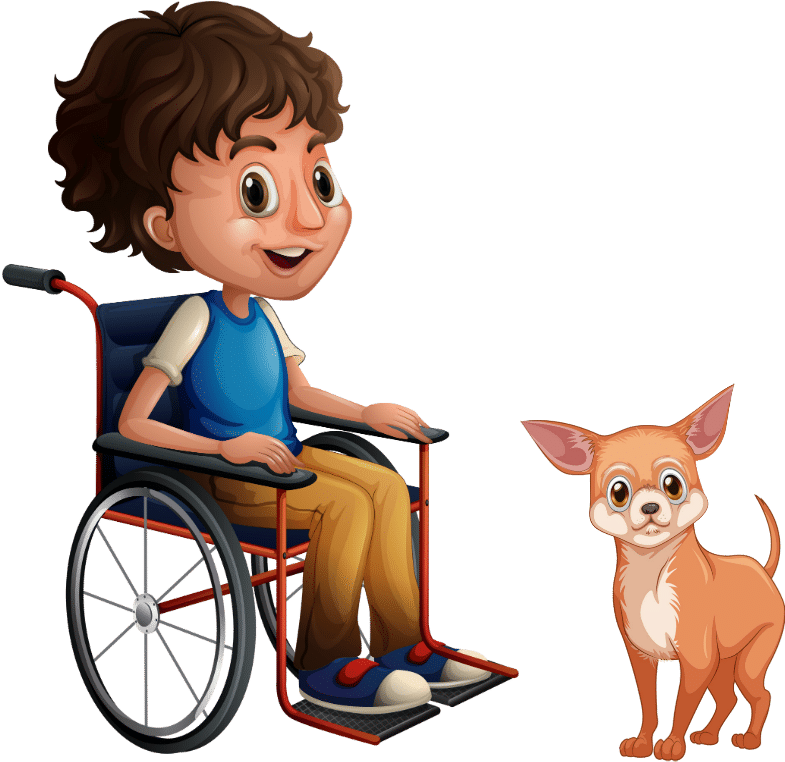 Boyin Wheelchairwith Chihuahua PNG image