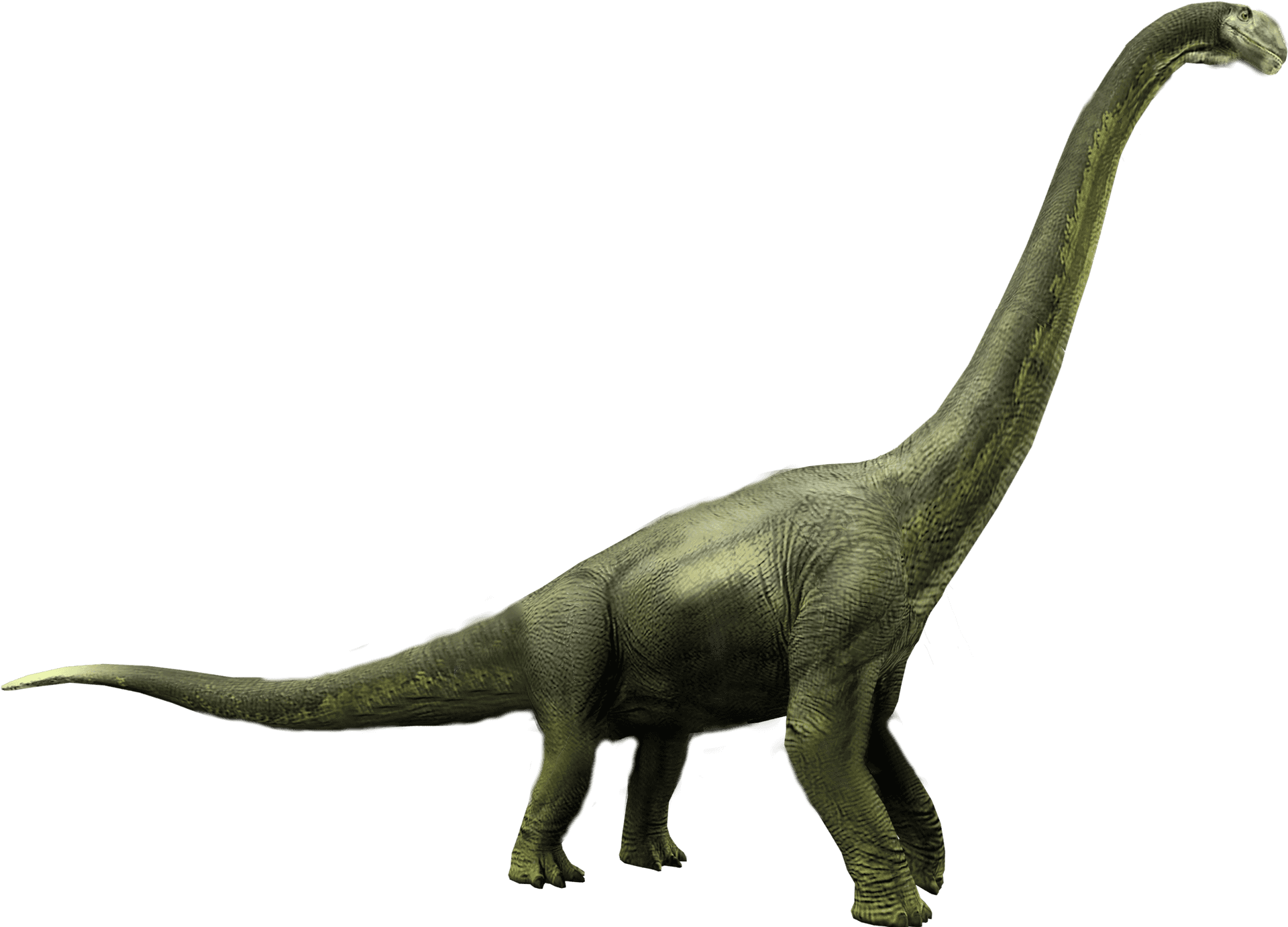 Brachiosaurus Jurassic World Dinosaur Render PNG image