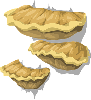 Bracket Fungi Illustration PNG image