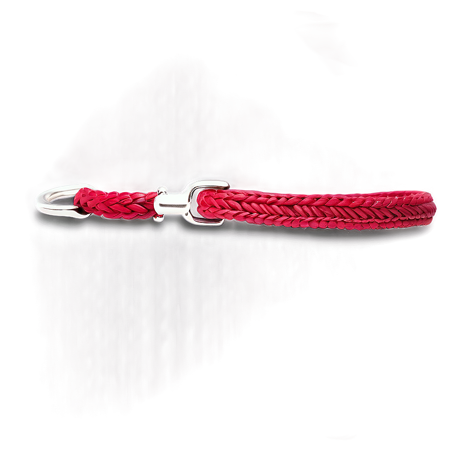 Braided Dog Leash Png 31 PNG image