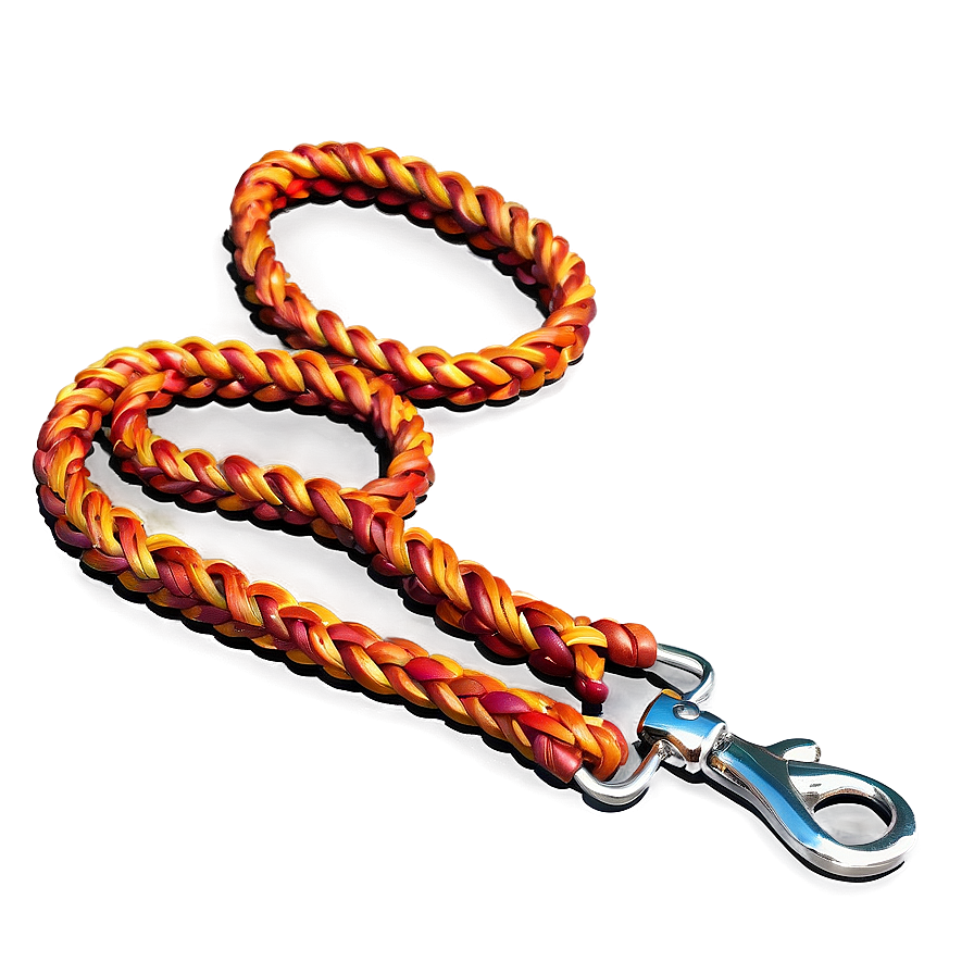 Braided Dog Leash Png 42 PNG image