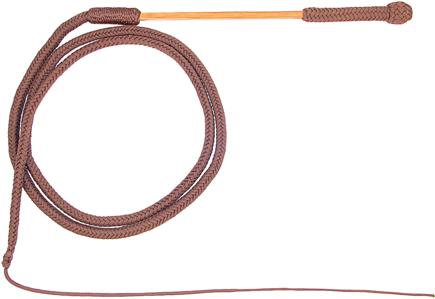 Braided Leather Whip PNG image