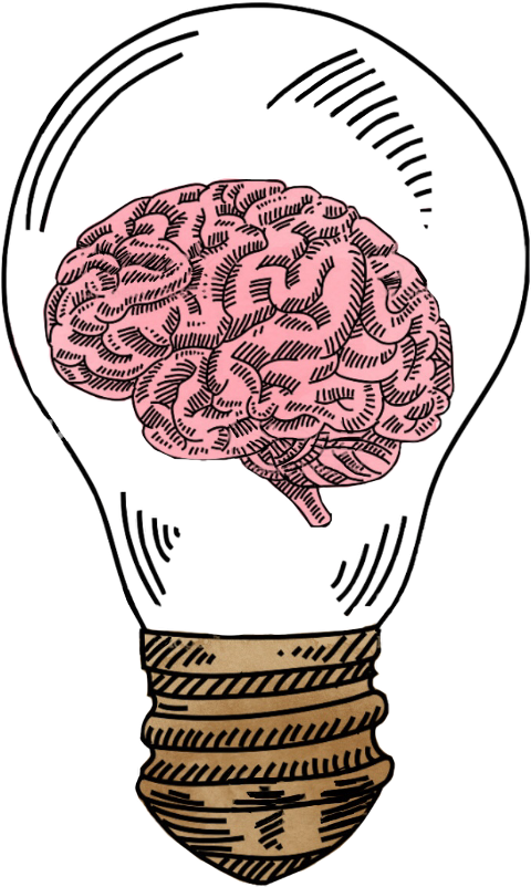 Brain Lightbulb Idea Concept PNG image