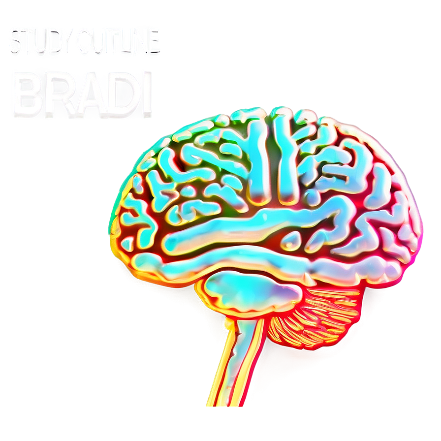 Brain Outline For Study Png 93 PNG image