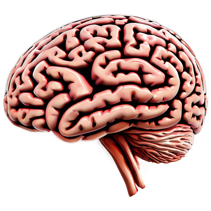 Brain Outline Vector Png Mdu87 PNG image