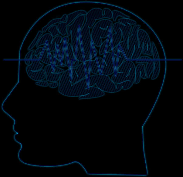 Brainwave Activity Outline PNG image