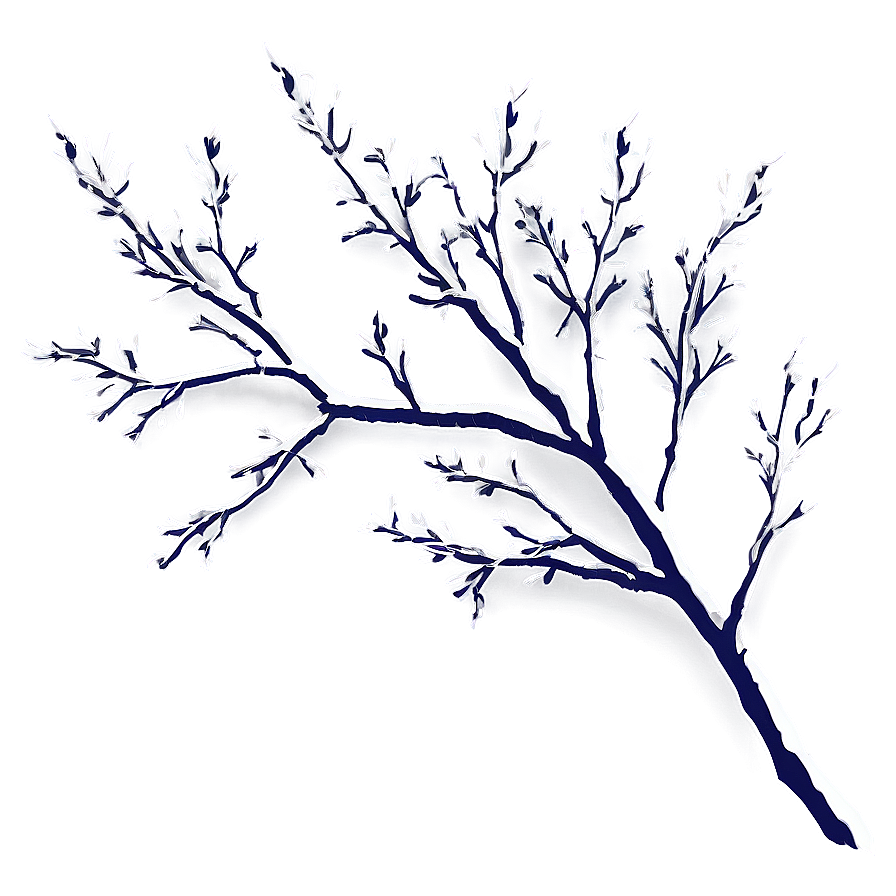 Branches Illustration Png 06272024 PNG image