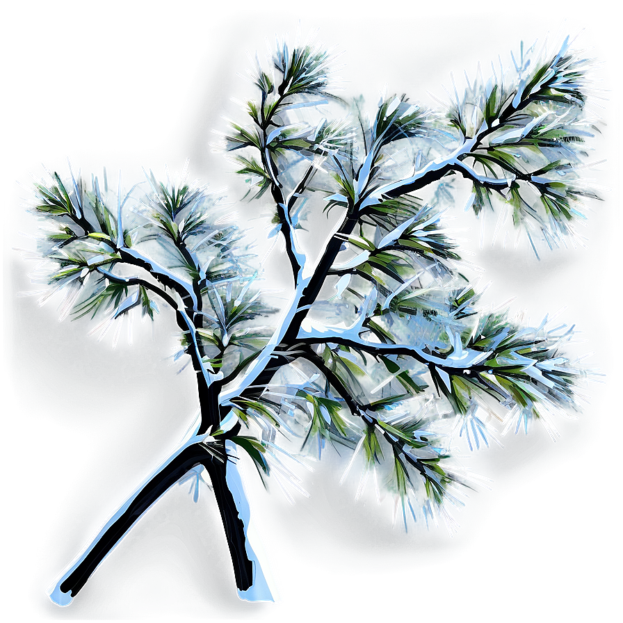 Branches With Snow Png 06272024 PNG image