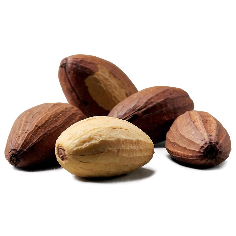 Brazil Nut Png 46 PNG image