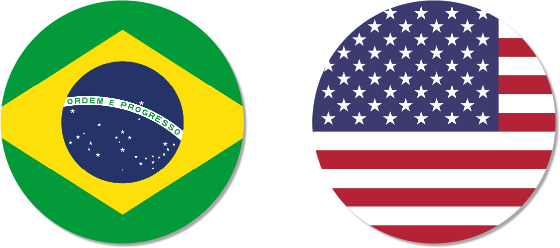 Braziland U S A Flagsin Circles PNG image