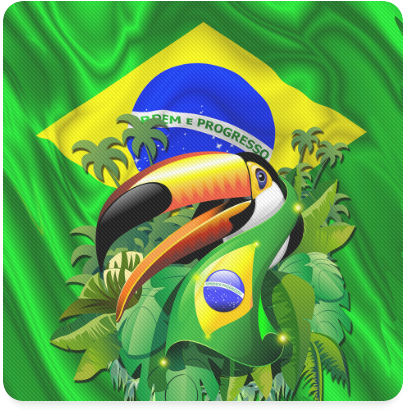 Brazilian Toucanwith Flag PNG image