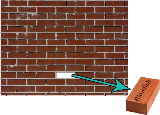 Brick Wallwith Missing Brick PNG image