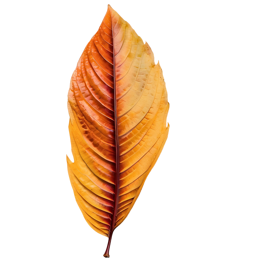 Bright Autumn Leaves Png 05042024 PNG image