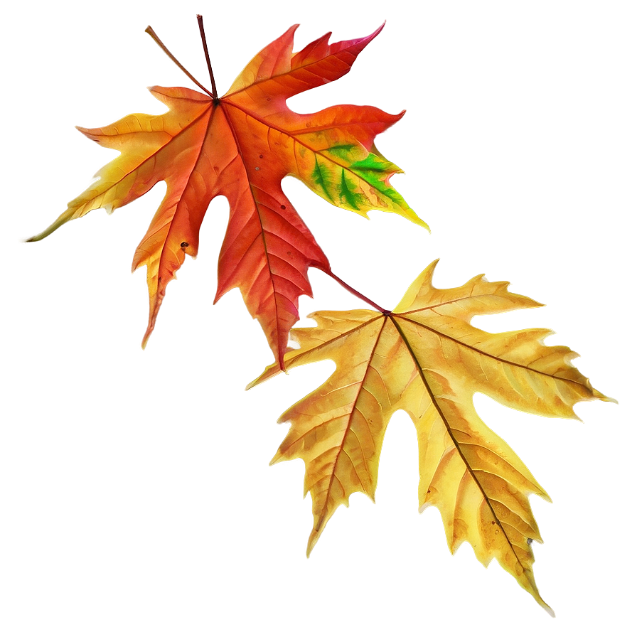 Bright Autumn Leaves Png 05042024 PNG image