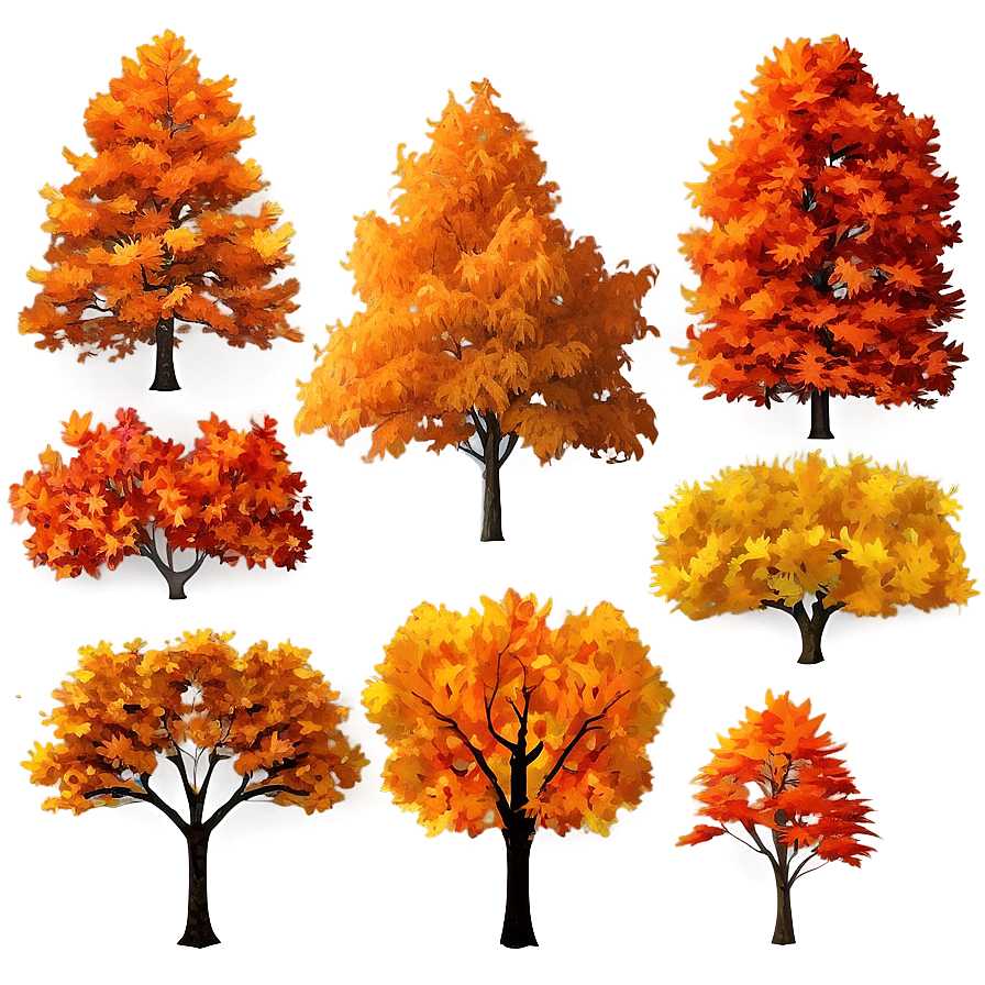 Bright Autumnal Trees Png 42 PNG image