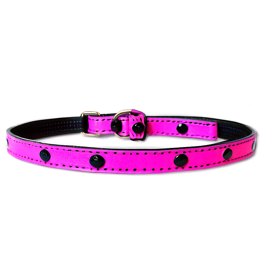 Bright Colored Dog Leash Png 86 PNG image