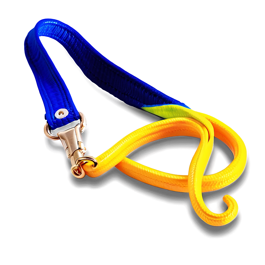 Bright Colored Dog Leash Png Evh PNG image