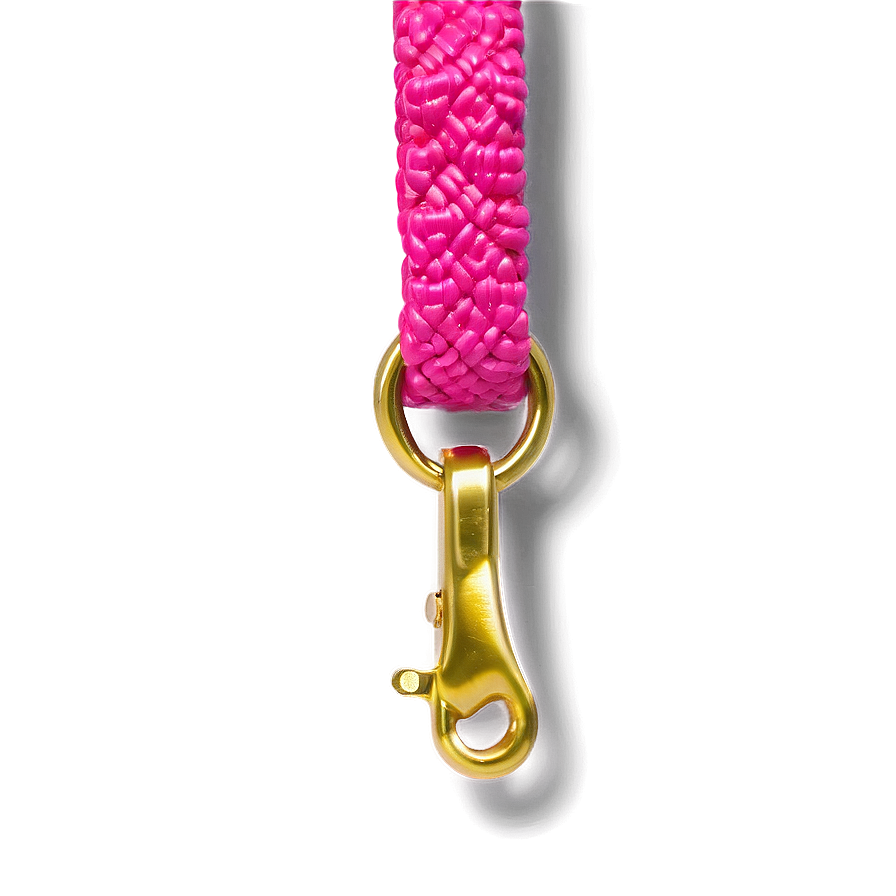 Bright Colored Dog Leash Png Tjr PNG image