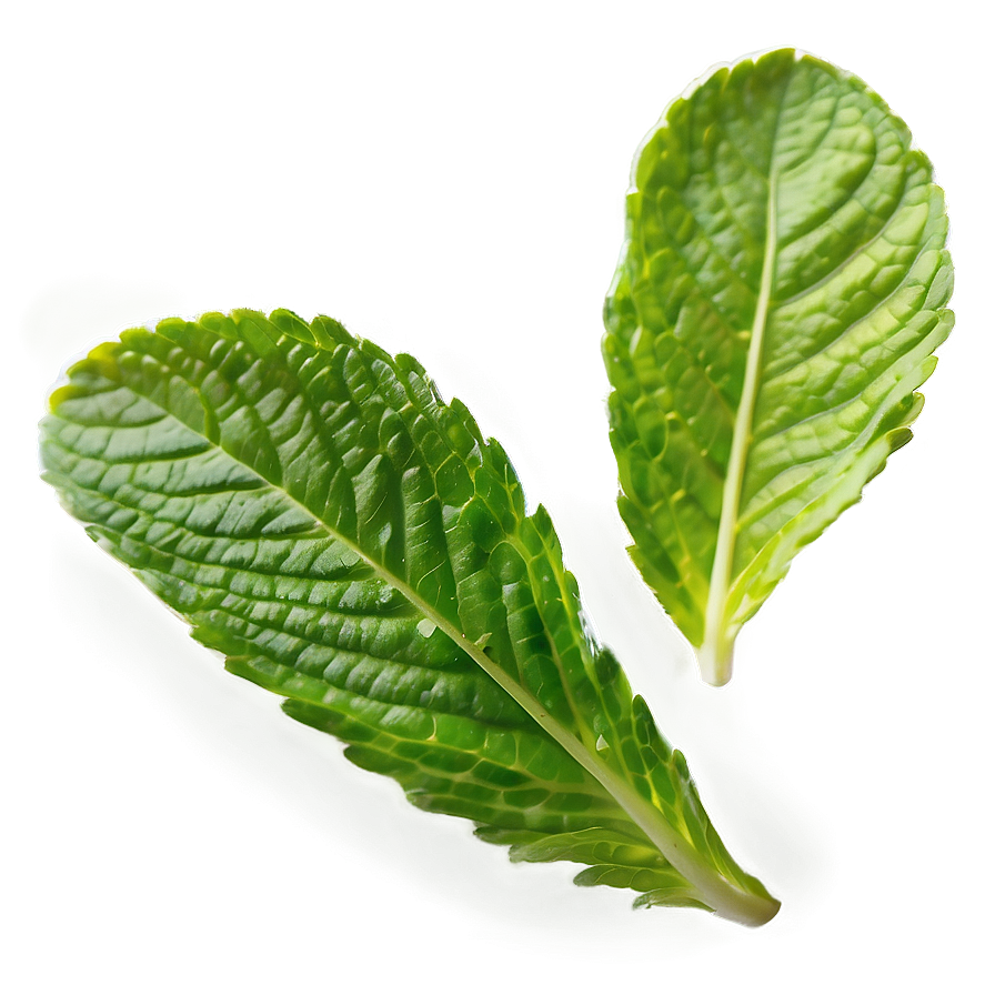 Bright Mint Leaves Png 06262024 PNG image