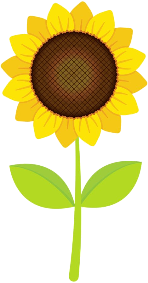 Bright Sunflower Clipart PNG image